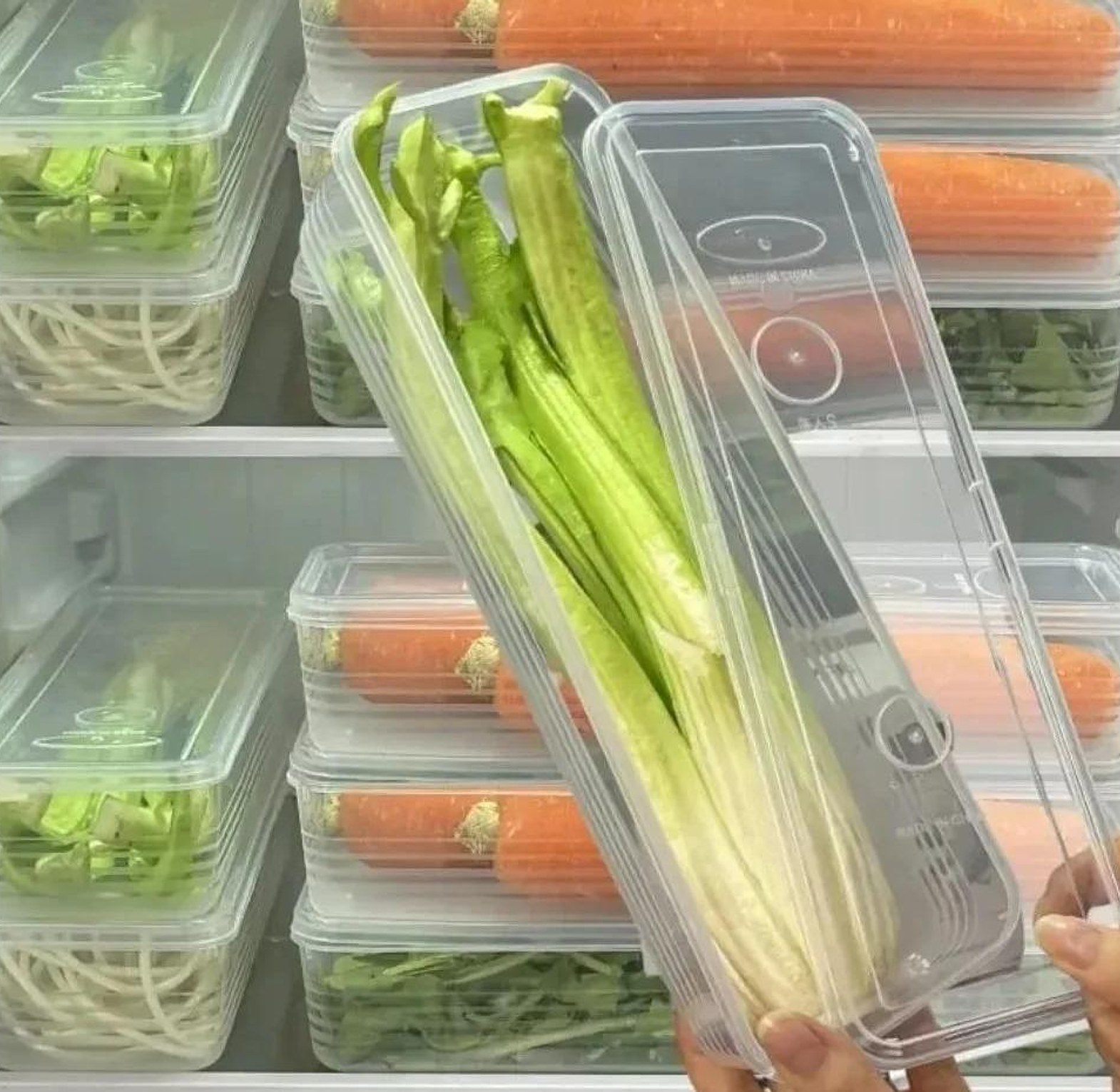 Refrigerator herb storage boxes/ fresh keeping crisper organizer with lid image