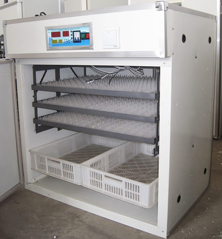 Egg incubator