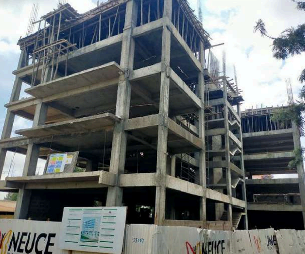 Proposed Hotel Flora image