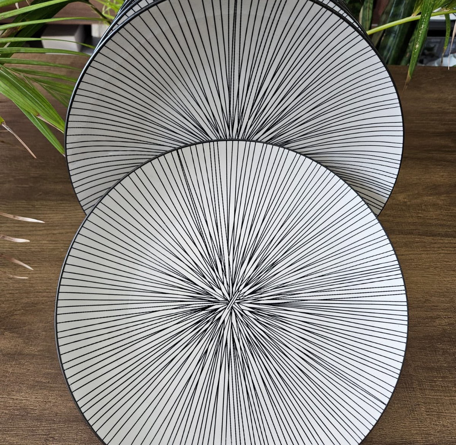 6pcs dinner plates  image