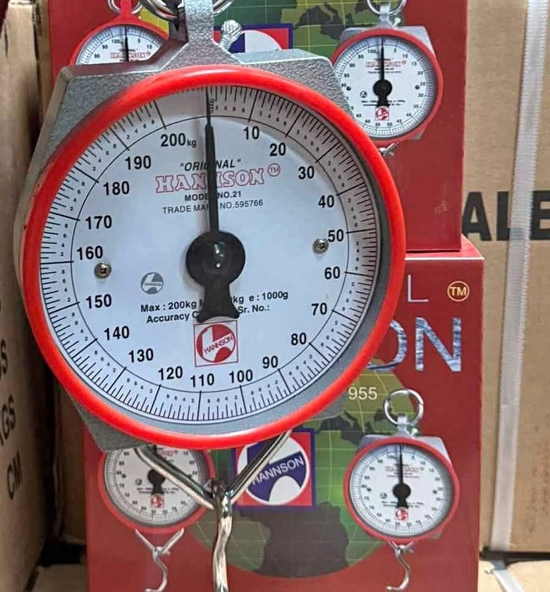 Analogue hanging scale Hannson image