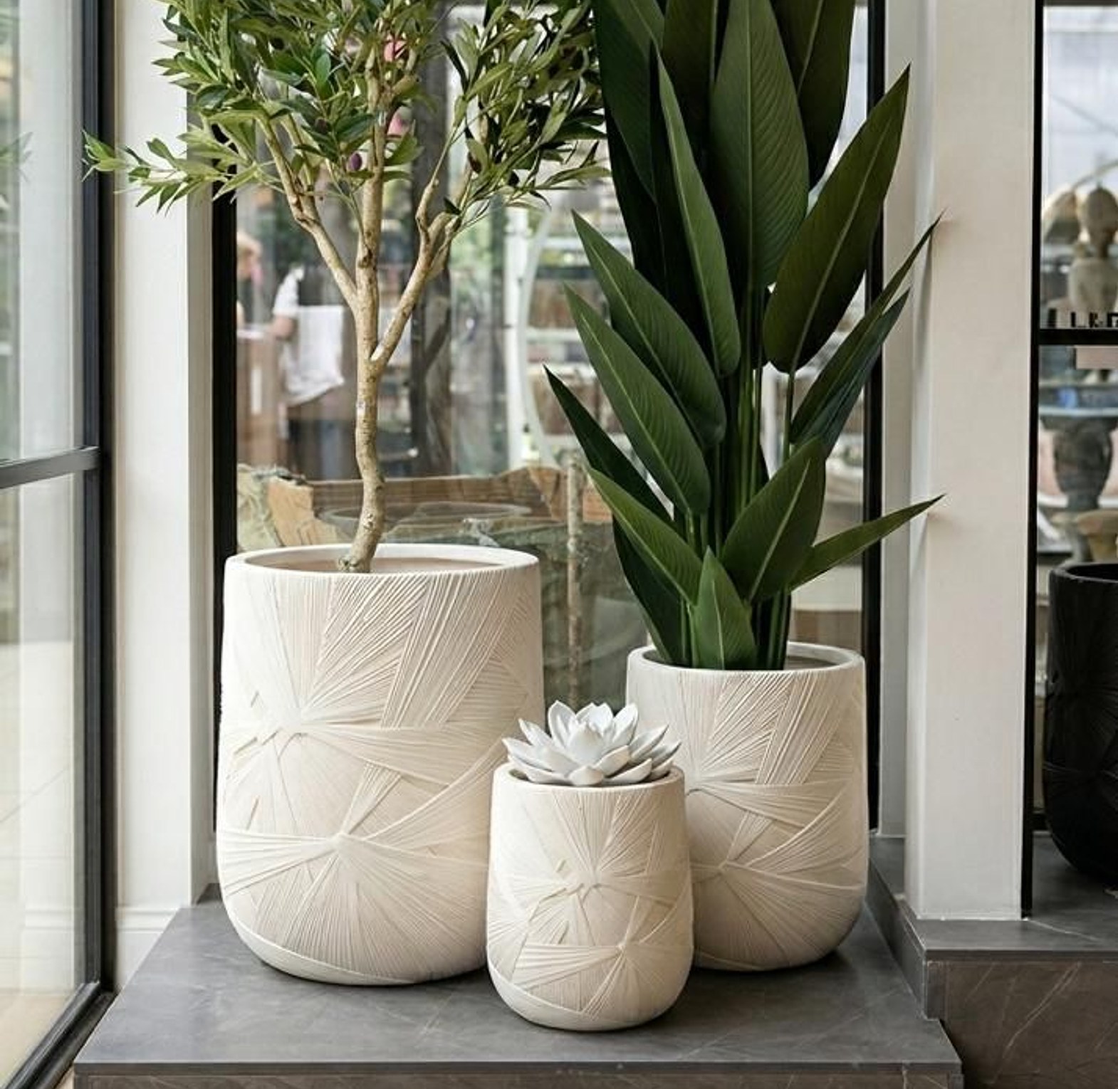 Elegant Ceramic Flower pots  image