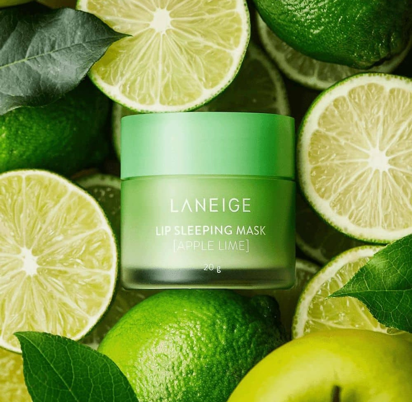 Laneige Lip Sleeping Mask 8g image