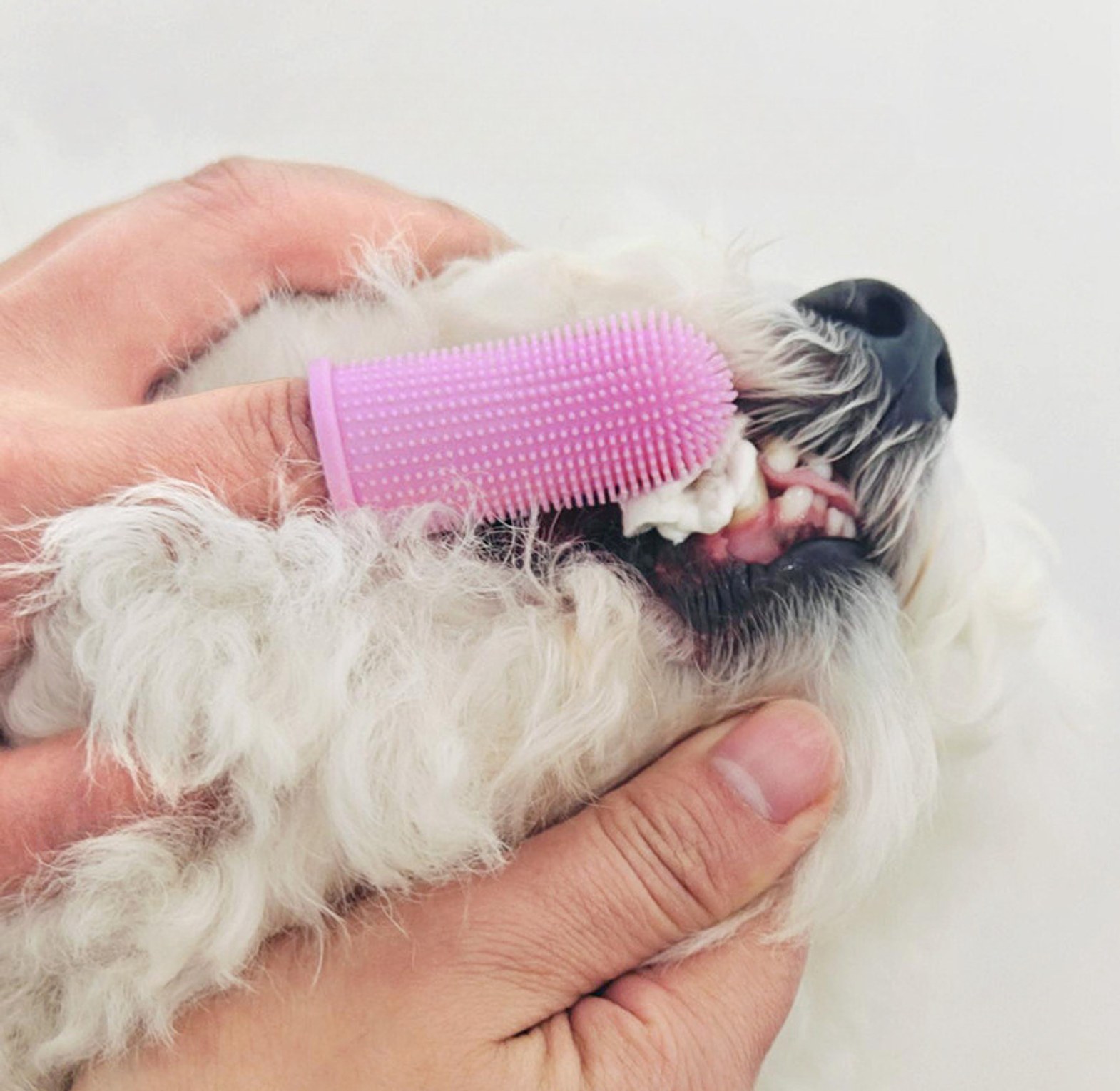 Soft Silicone Pet Finger Toothbrush for Dogs & Cats - Gentle Dental Plaque Remover & Breath Freshener - Pet Grooming Essentials image