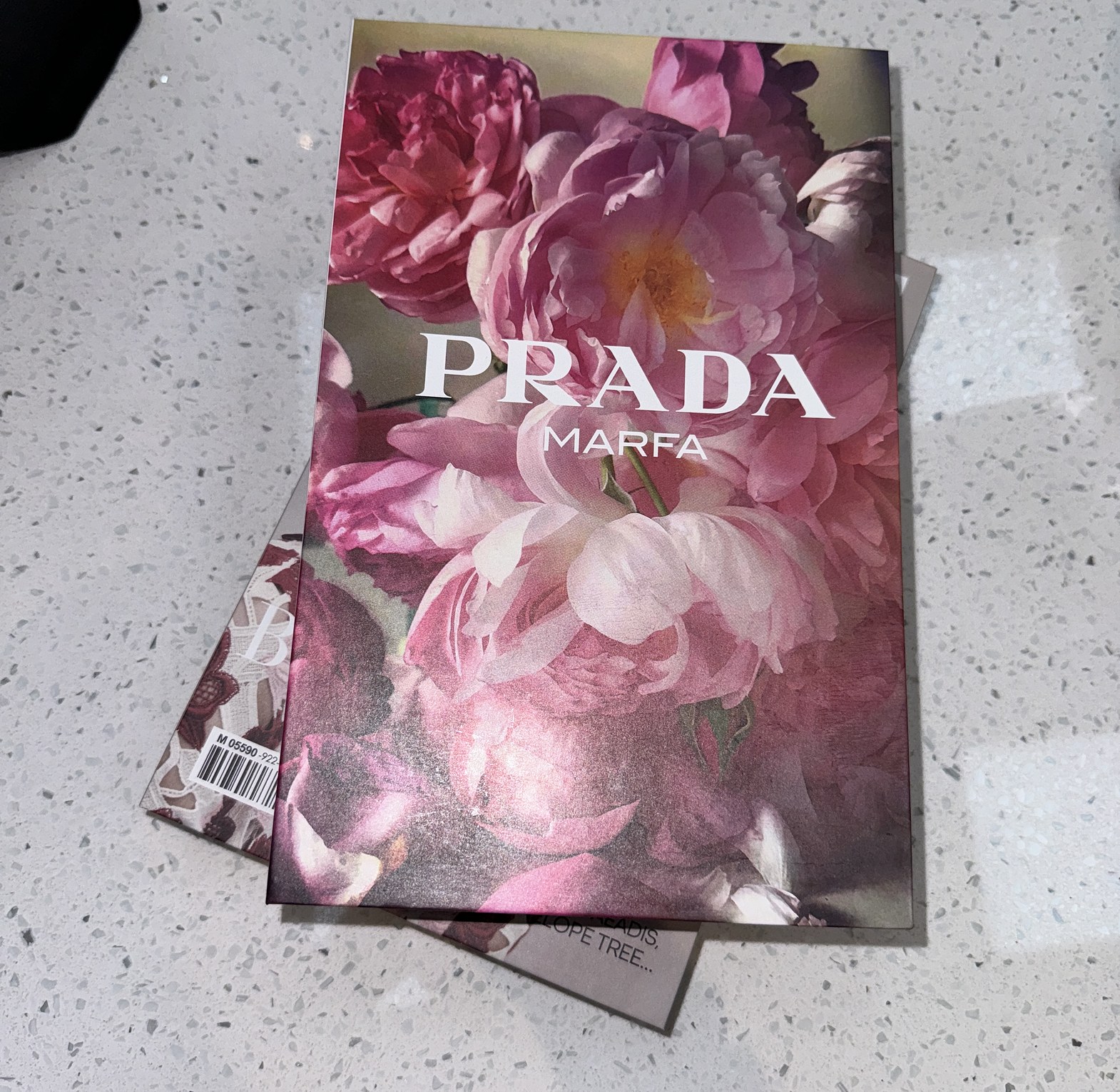 Luxury faux decor books image