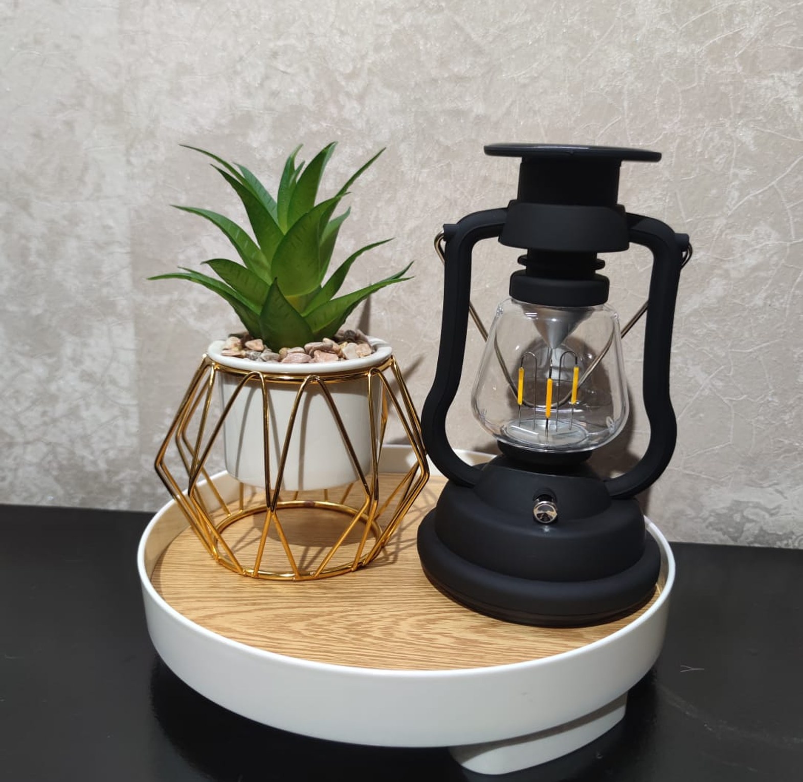 Tray Lamp with Succulent image