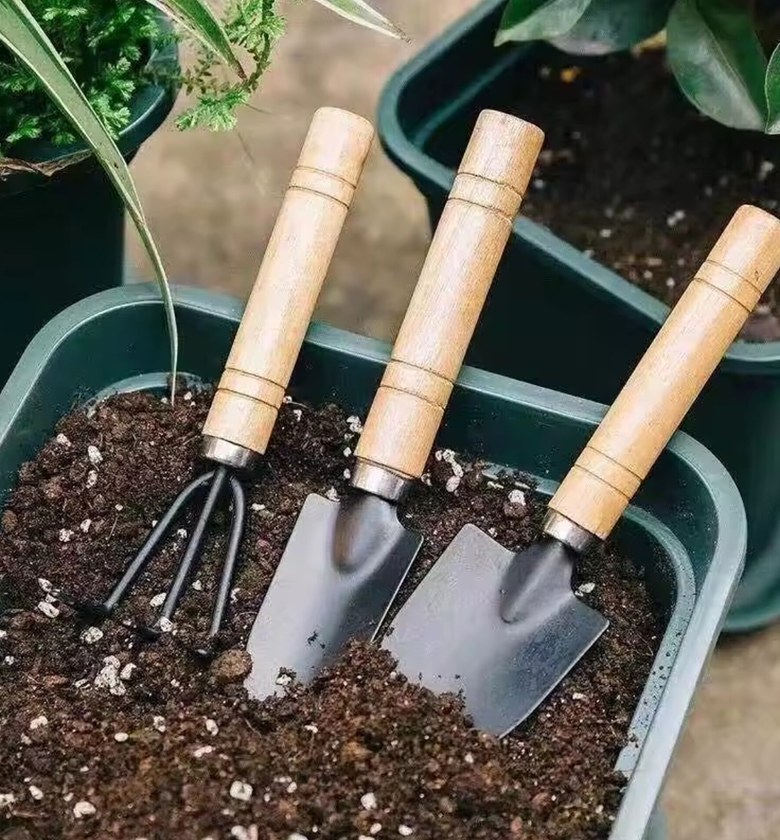 3-Piece Mini Gardening Tool Set, Ergonomic Wood Handle for Succulents & Indoor Plants image