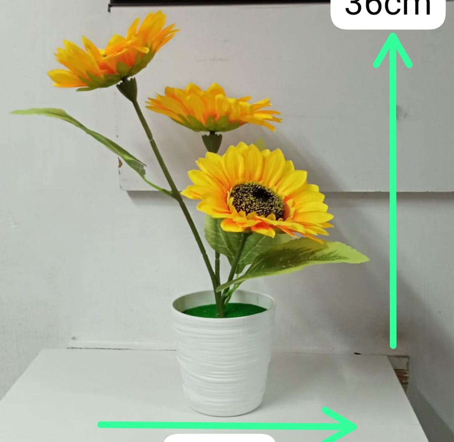 Sunflower Flower With Pot image