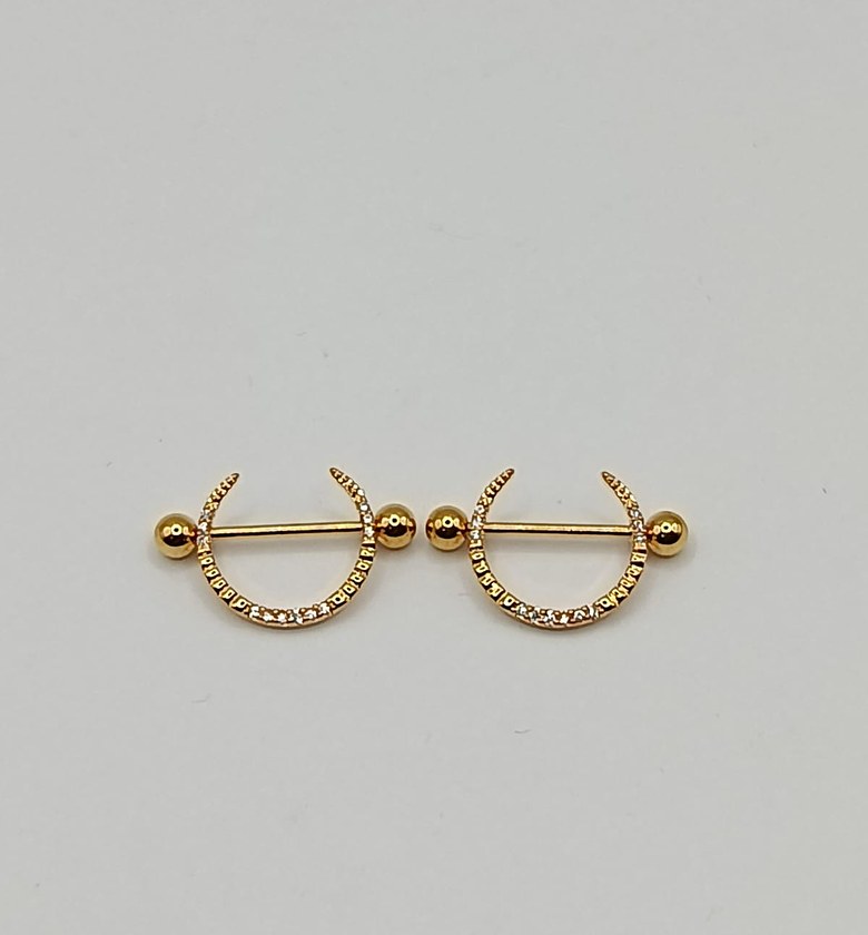Nipple Rings 002 image