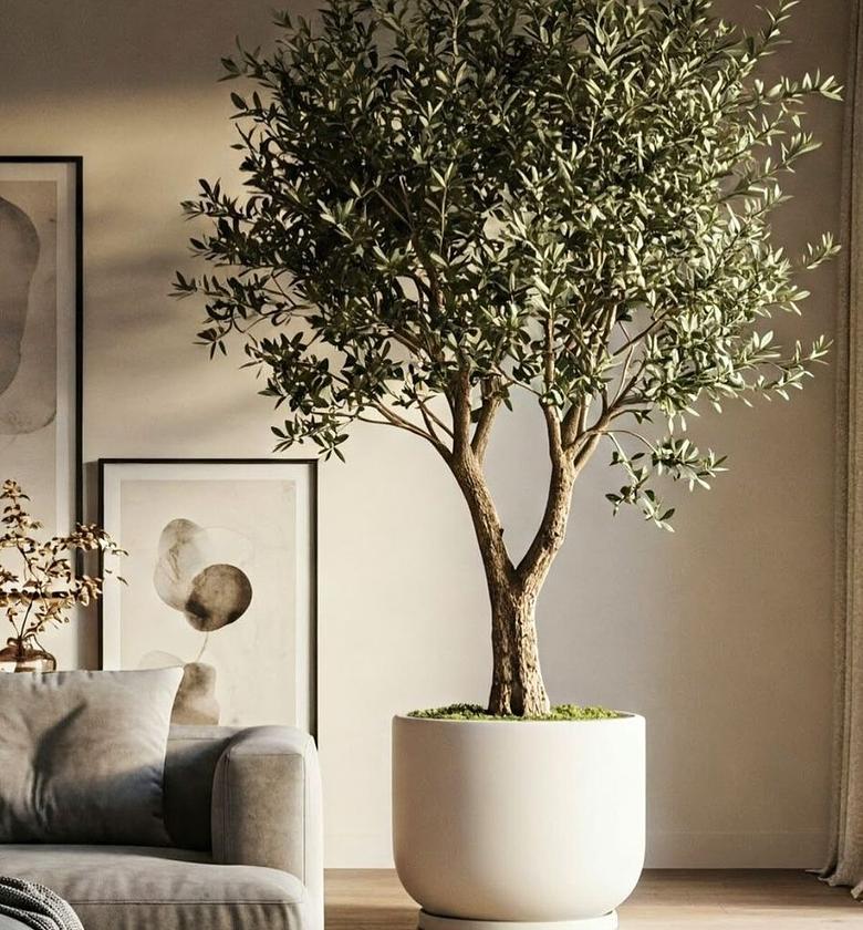 High quality real touch olive plants with fruits image