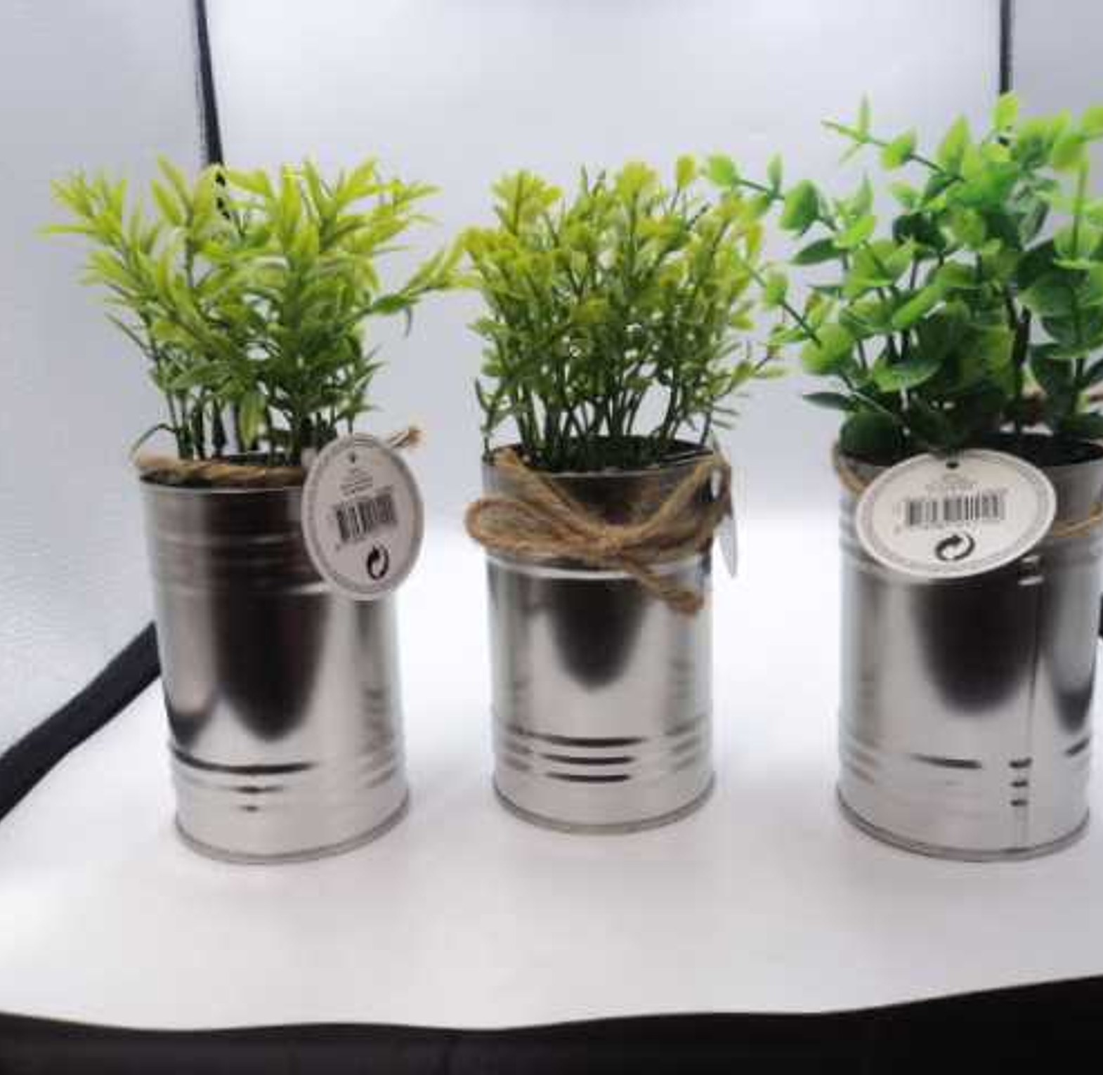 PLANT IN ZINC CAN 4ASS CL image