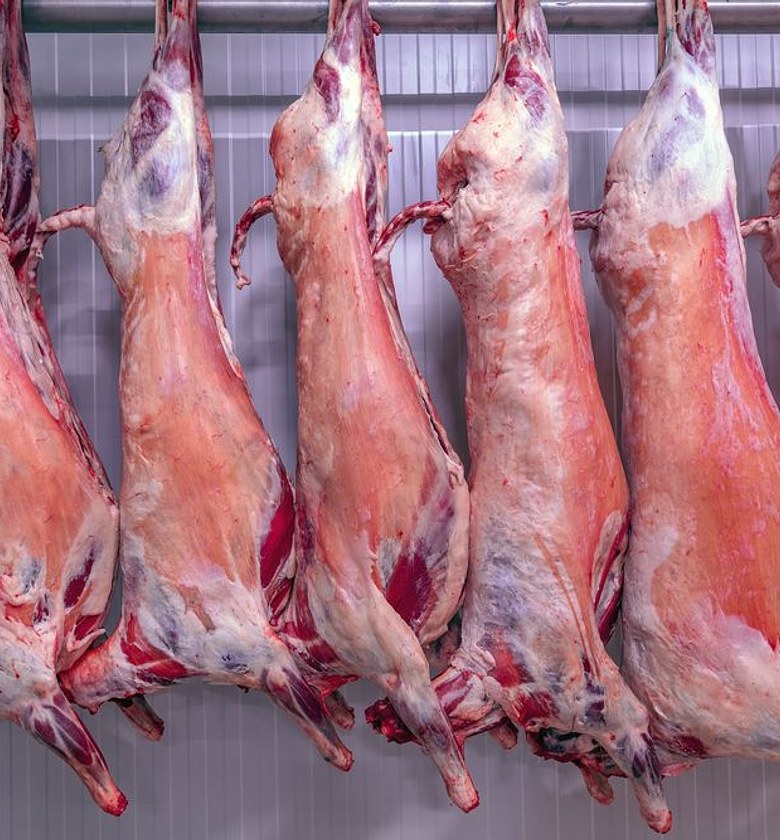 Goat Meat a kilogram (KG) image