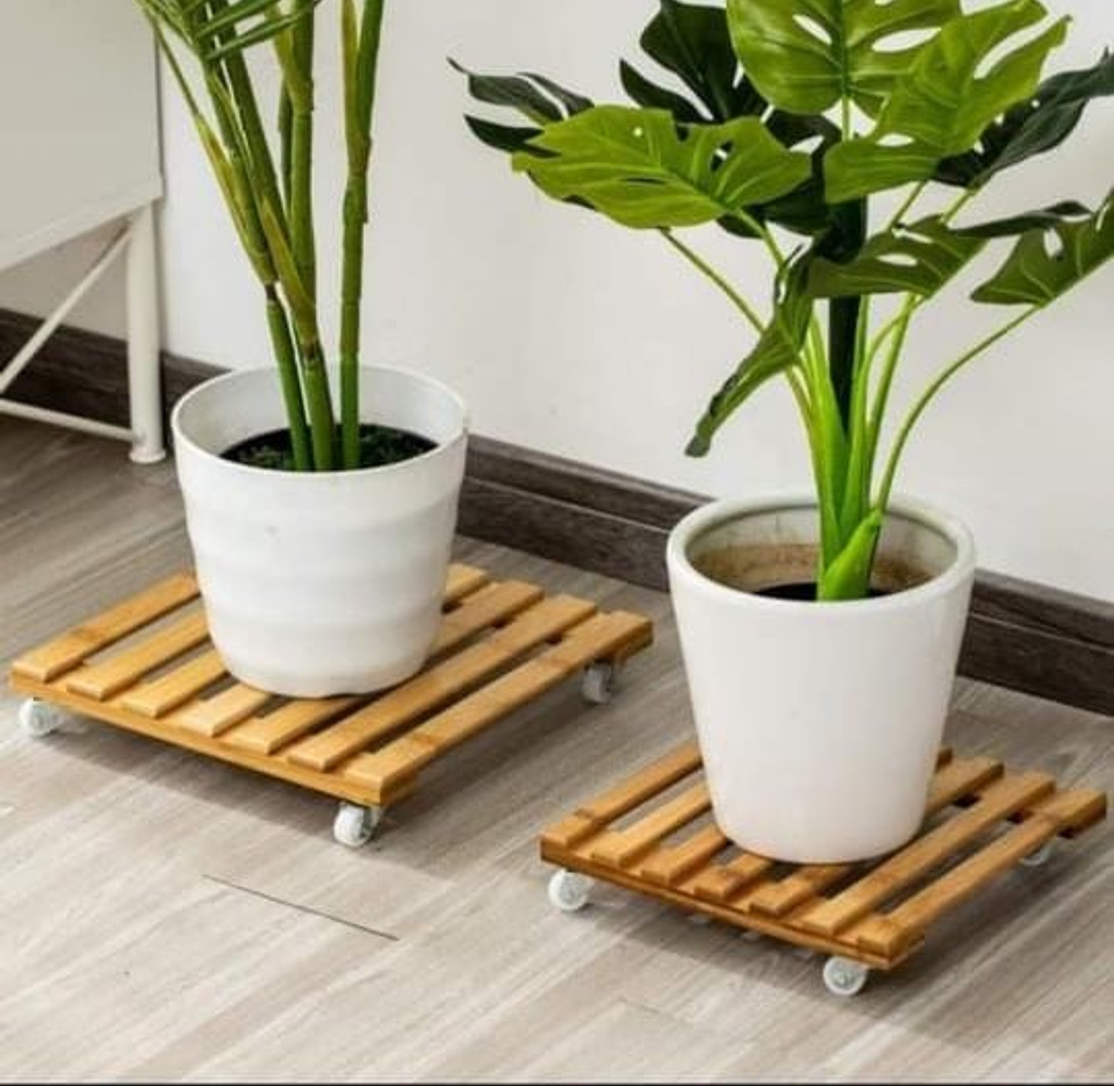 Wooden Plant Roller Base Stand, image