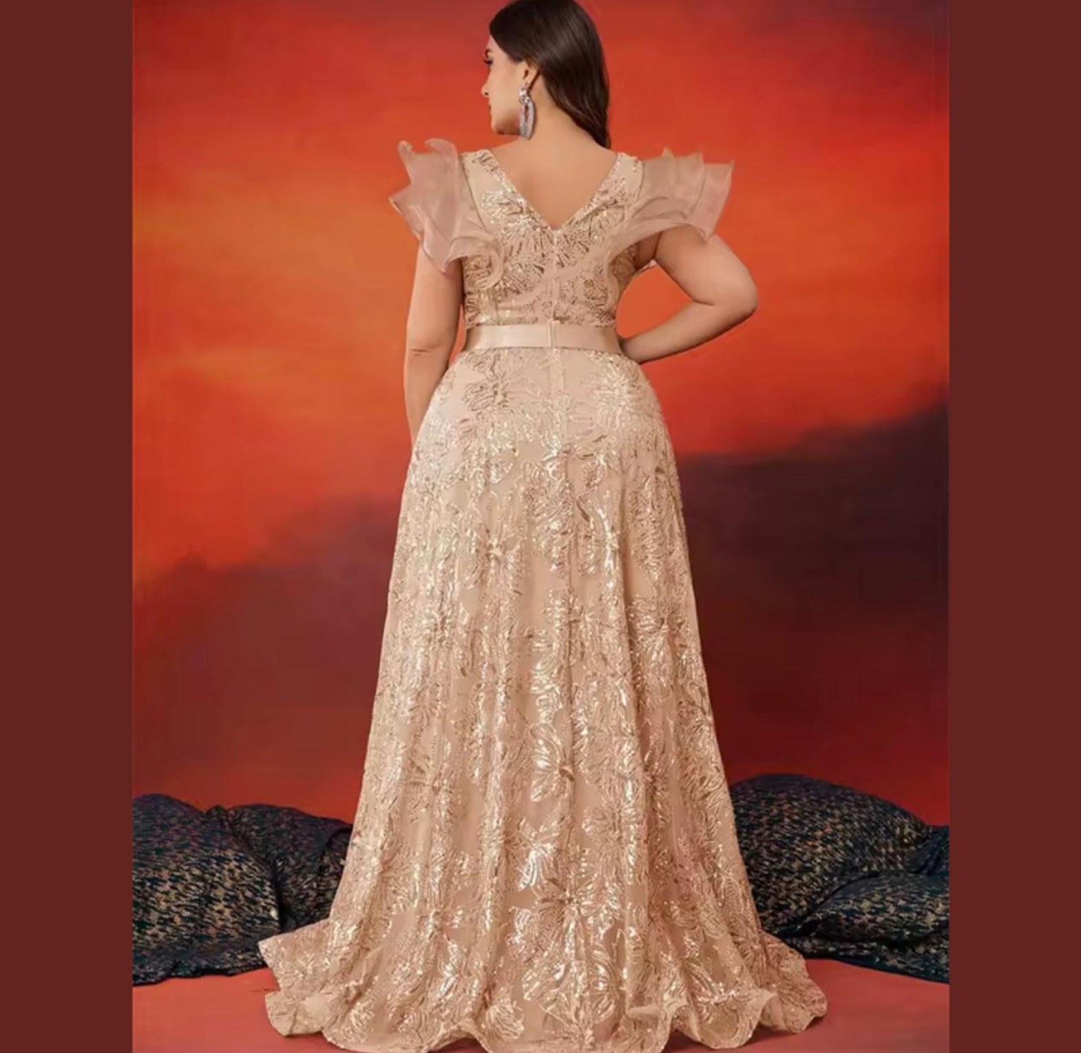 Fairy Wing Embroidered A-Line Gown image