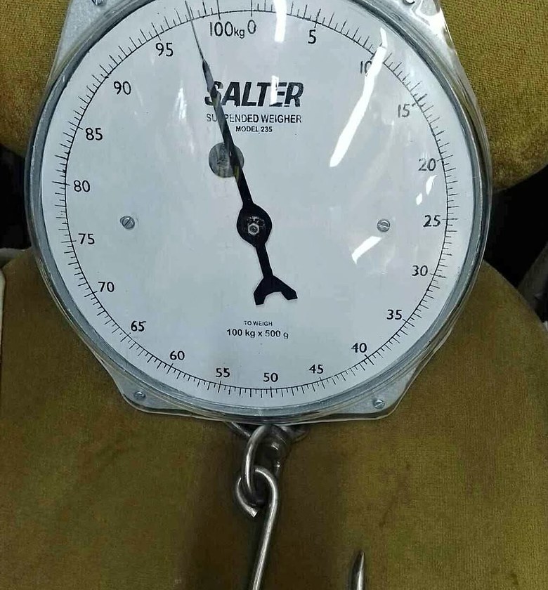 Original salter hanging scale image