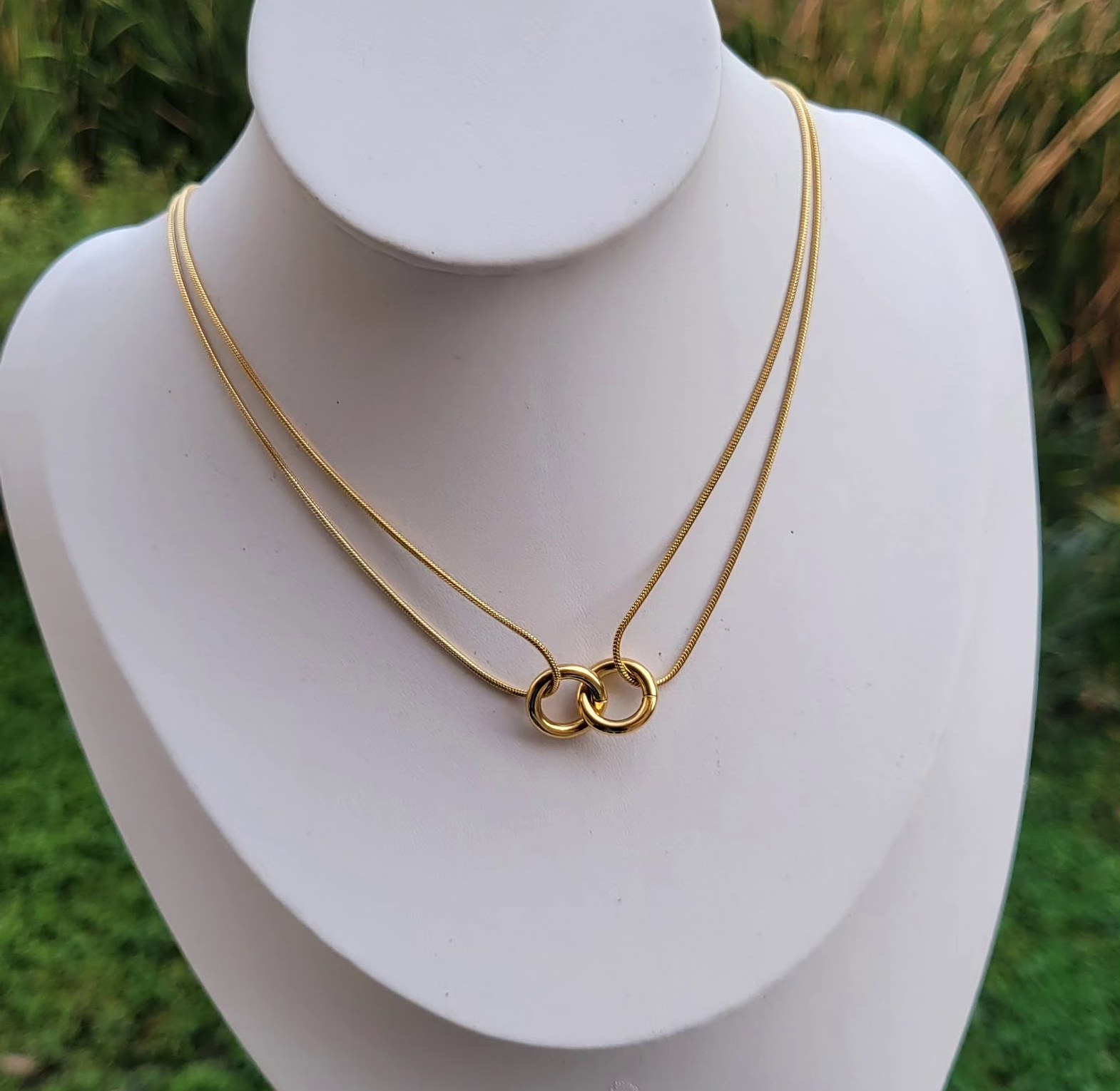 Interlocking Rings image