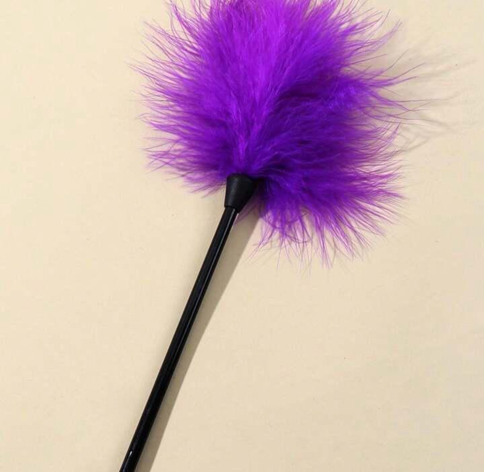 M198-FLIRTING FEATHER image