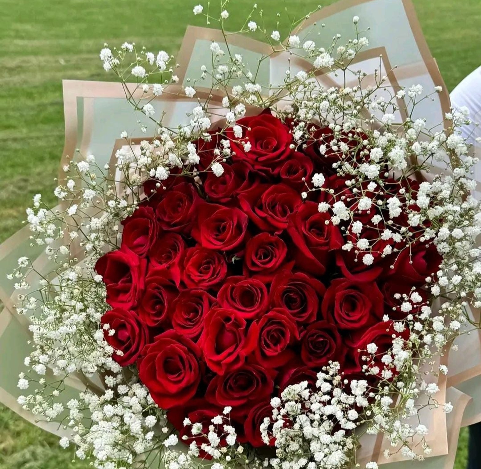 Premium Red Roses 40 stems image