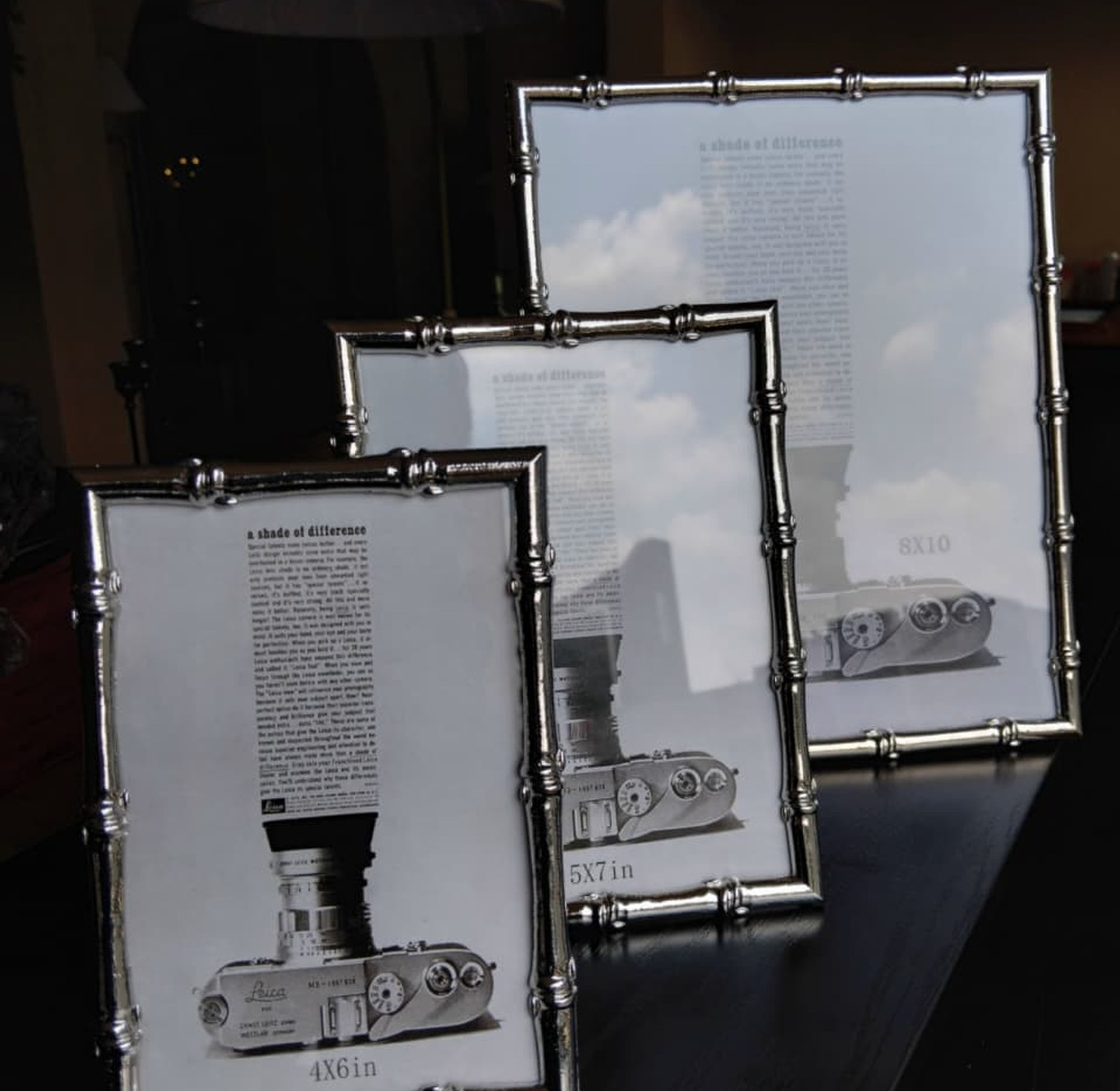 Silver Bamboo-style  metallic Photo frames image