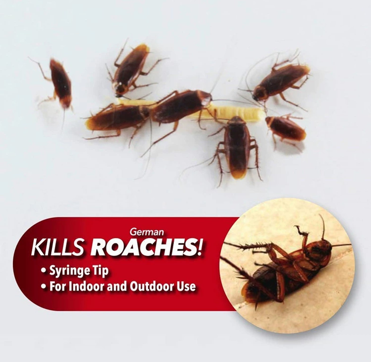 Roach doctor gel, Cockroach killer gel paste, Roach Doctor Cockroach Gel Bait image