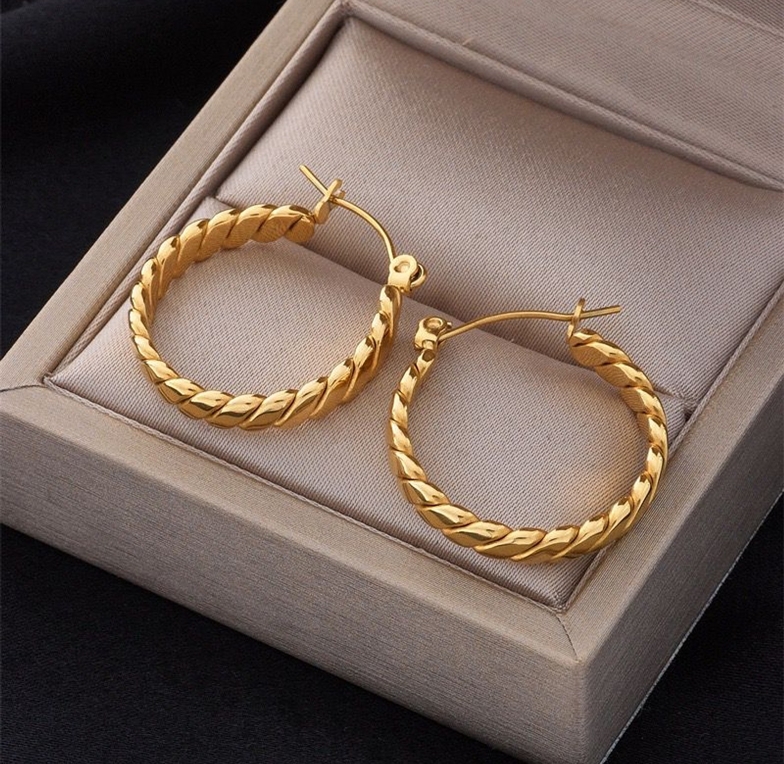 Twisted Hoop Earrings image