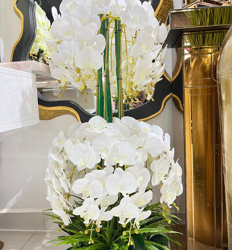 Standing Orchids image