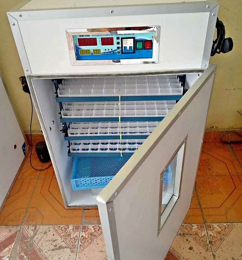 Incubator 528 egg automatic image