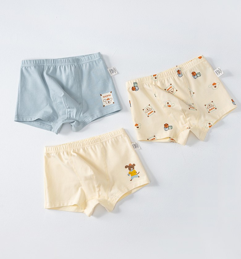 Miniature bears Boxer set image