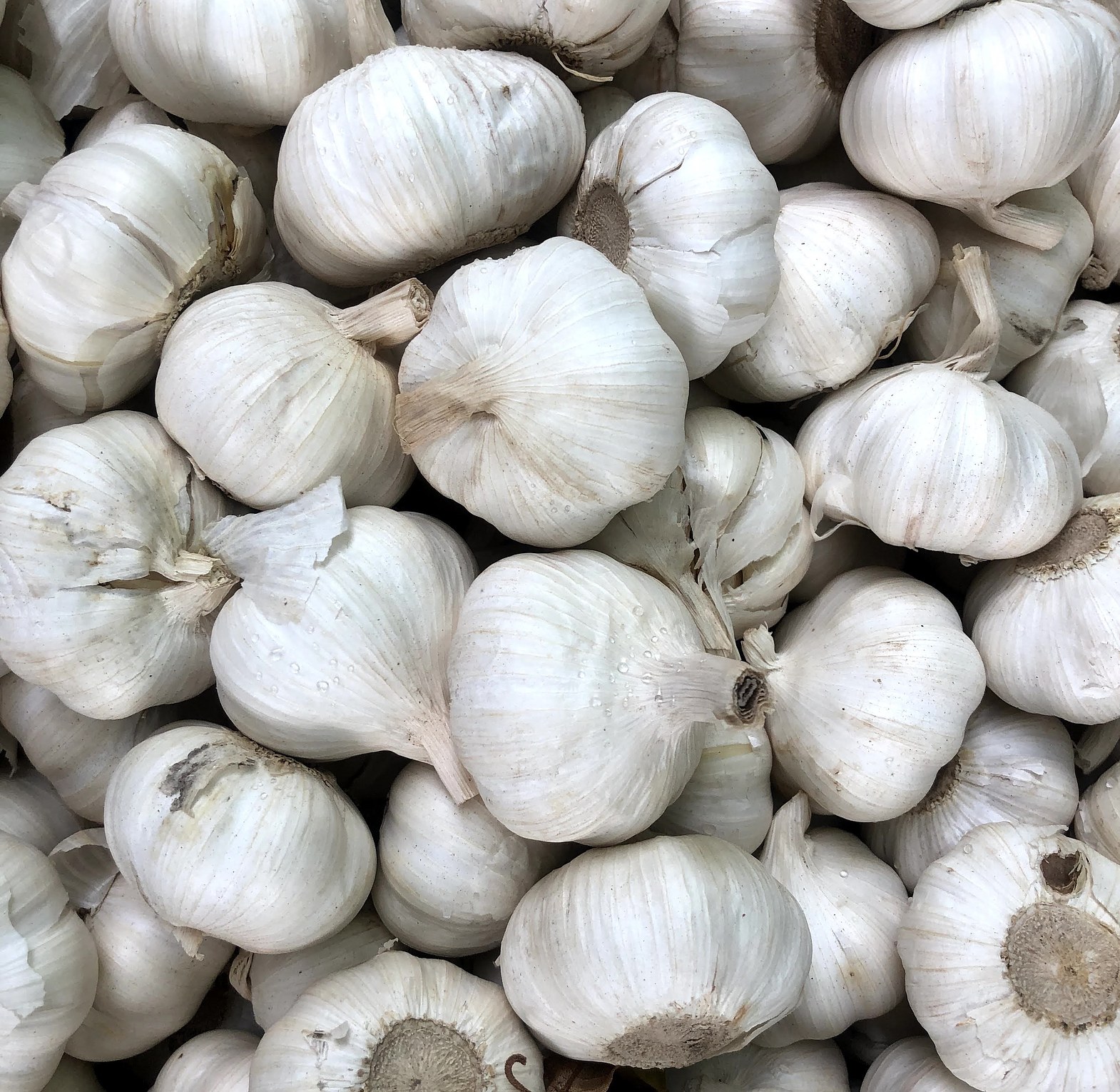 Garlic / Kitunguu saumu (imported) - Per Kilogram  image