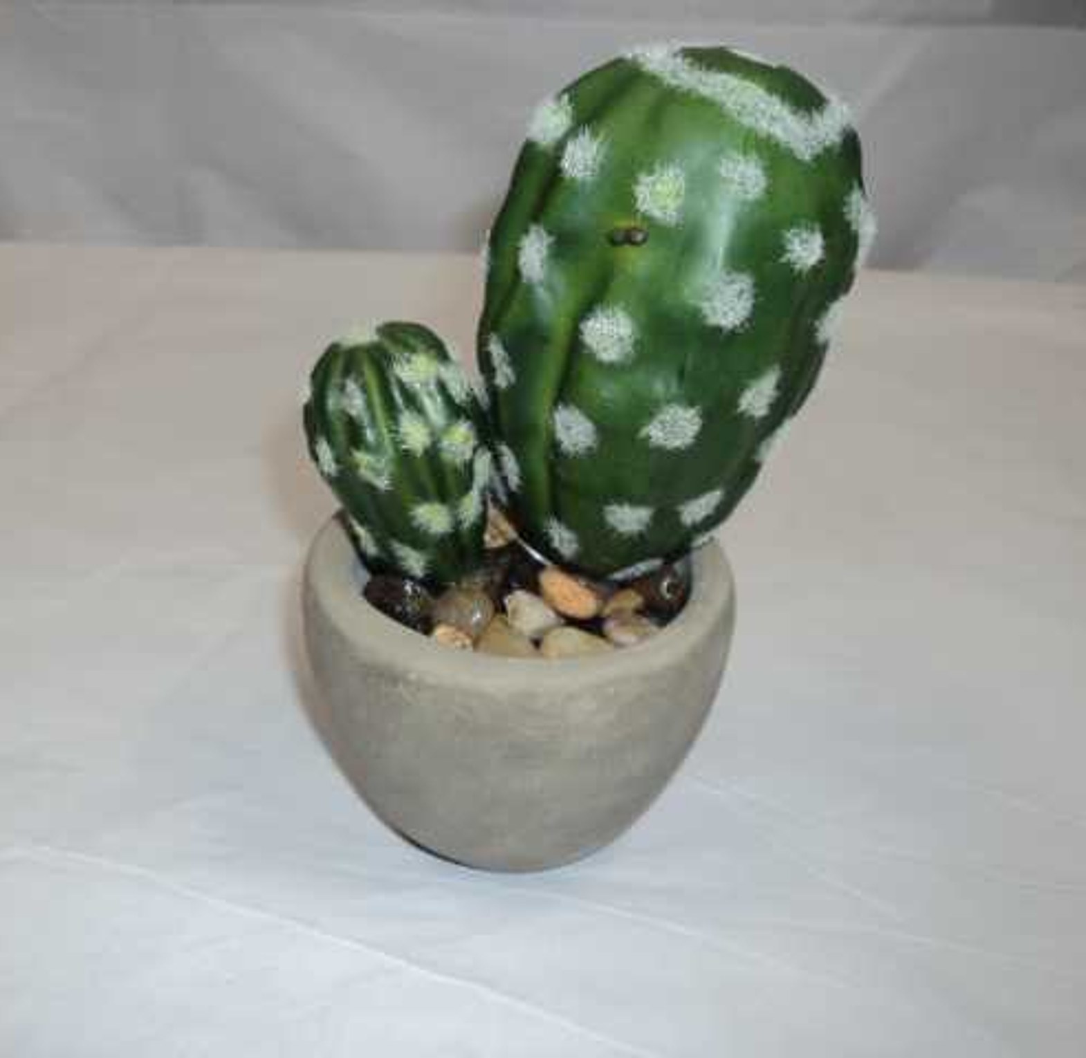 MINI CACTUS CEM POT H18 # image