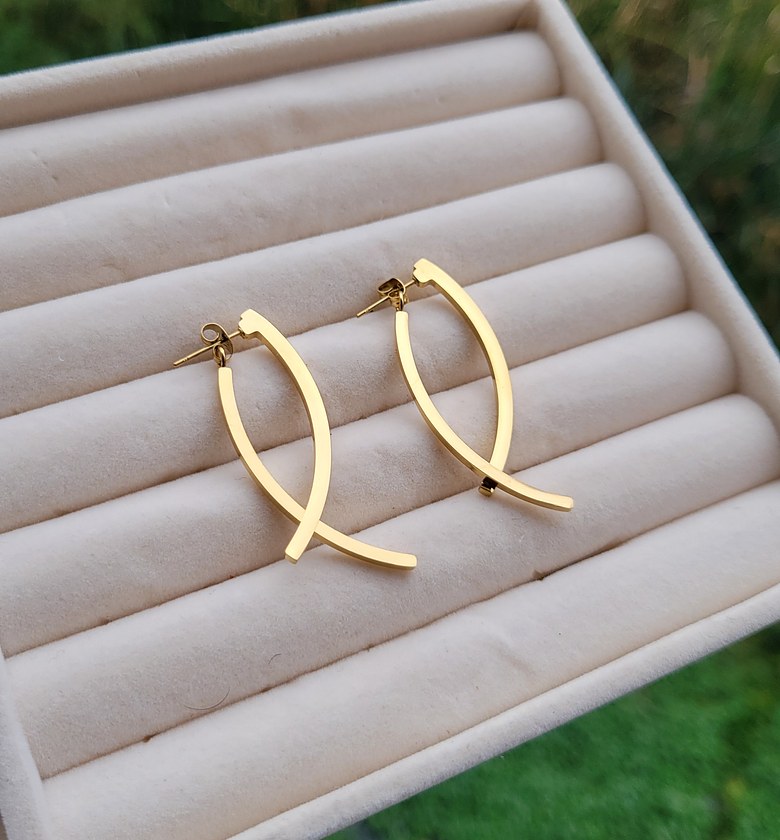 Hoop earrings  image